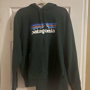 Patagonia Men's Green Hoodie with Logo